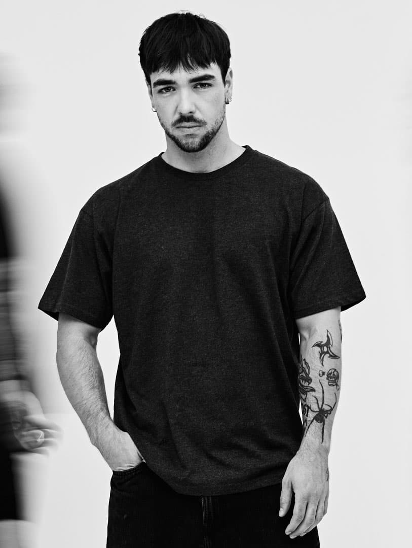 Birds of paradise against a wall